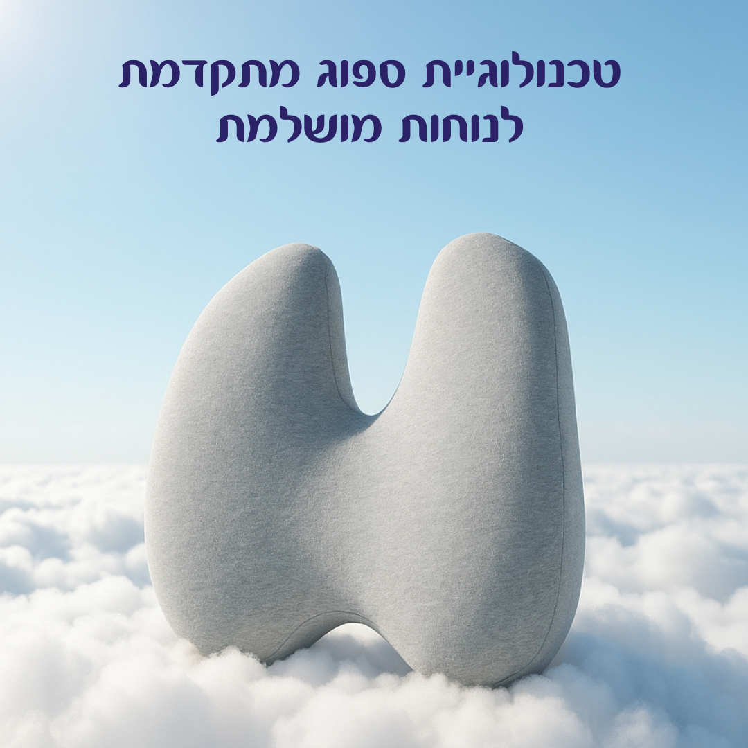 כרית גב אורטופדית